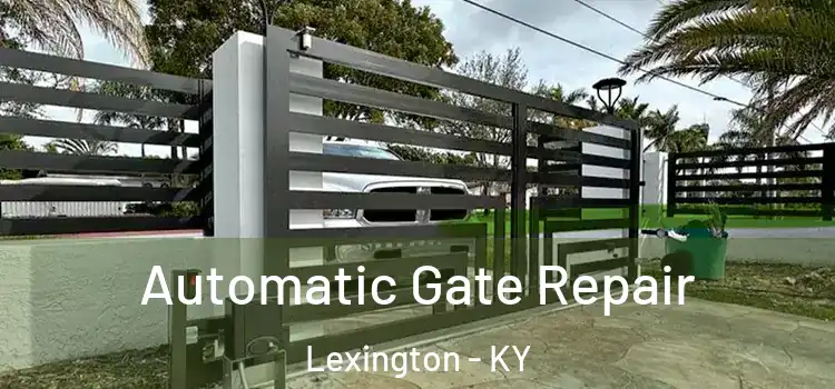 Automatic Gate Repair Lexington - KY