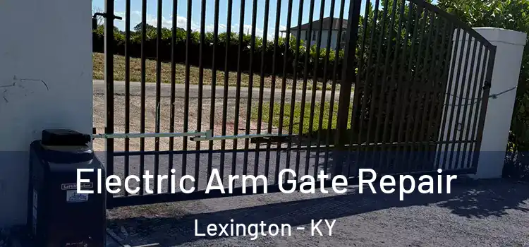 Electric Arm Gate Repair Lexington - KY
