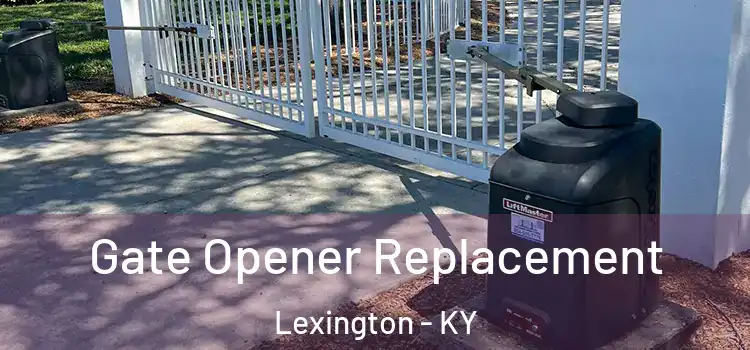 Gate Opener Replacement Lexington - KY