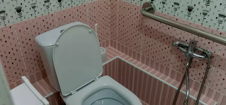 Meeting Diverse Needs With Accessible Restroom Solutions in Lexington, KY