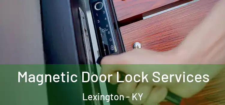 Magnetic Door Lock Services Lexington - KY
