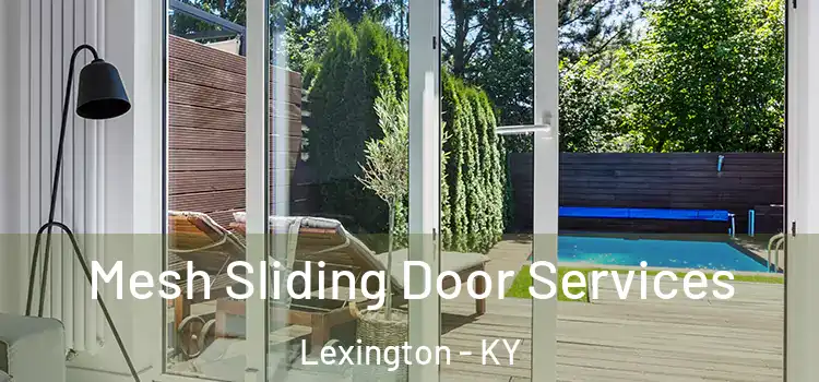 Mesh Sliding Door Services Lexington - KY