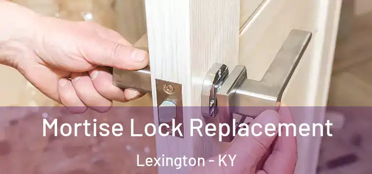 Mortise Lock Replacement Lexington - KY