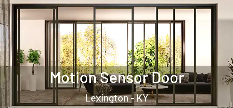 Motion Sensor Door Lexington - KY